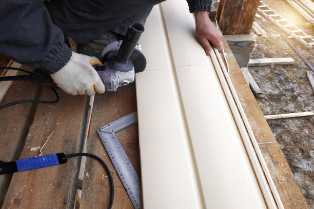 Best Siding Painting and Refinishing  in Coolidge, AZ